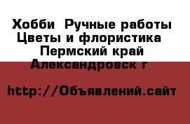 Хобби. Ручные работы Цветы и флористика. Пермский край,Александровск г.